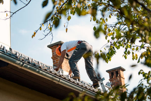 Best Gutter Installation and Roofing  in Parkwood, WA