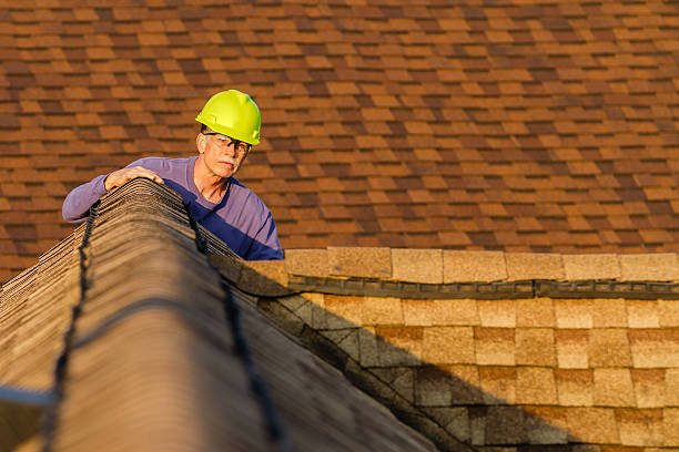 Best Roof Restoration Services  in Parkwood, WA