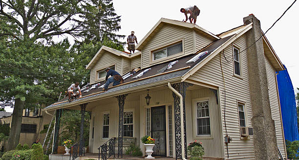 Best Metal Roofing Contractor  in Parkwood, WA