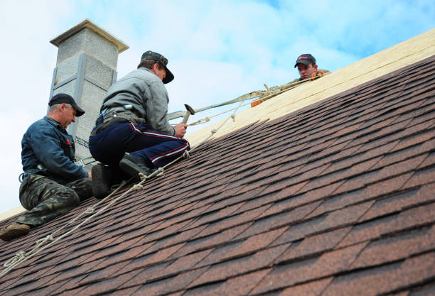 Best Roof Leak Repair  in Parkwood, WA
