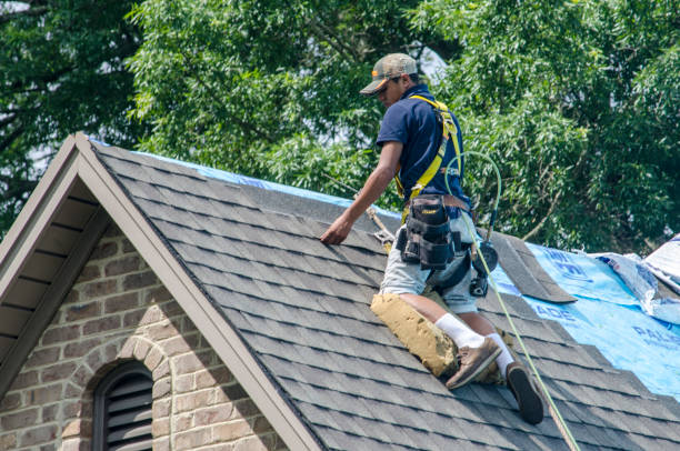 Best Roof Maintenance Services  in Parkwood, WA